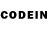 Ecstasy Philipp Plein SodaMix Games