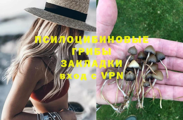 прущий лед Новозыбков