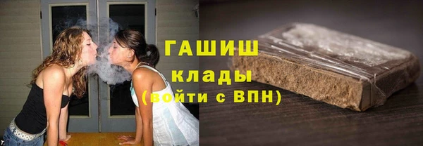 прущий лед Новозыбков