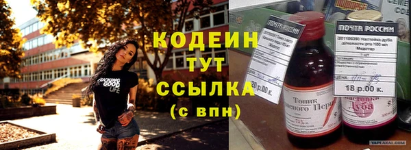 прущий лед Новозыбков