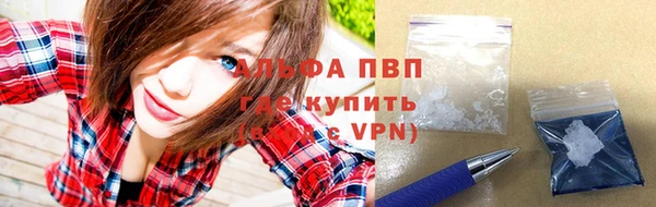 прущий лед Новозыбков