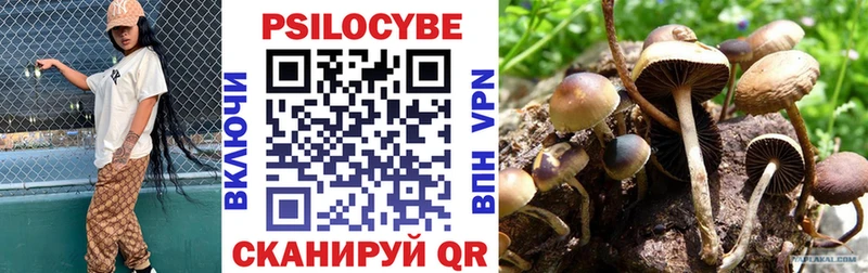сайты даркнета клад  blacksprut зеркало  Грозный  Псилоцибиновые грибы ЛСД 