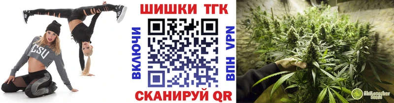 Конопля THC 21%  купить закладку  Грозный 